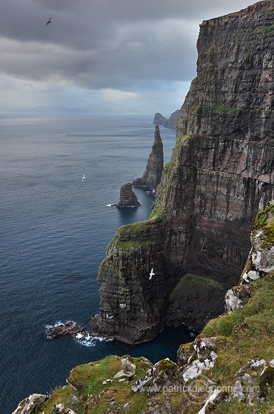 Oknadalsdrangur, Sandoy, Faroe islands - Oknadalsdrangur, iles Feroe - FER348