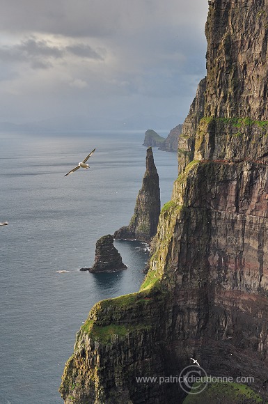 Oknadalsdrangur, Sandoy, Faroe islands - Oknadalsdrangur, iles Feroe - FER354