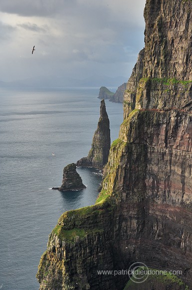 Oknadalsdrangur, Sandoy, Faroe islands - Oknadalsdrangur, iles Feroe - FER355