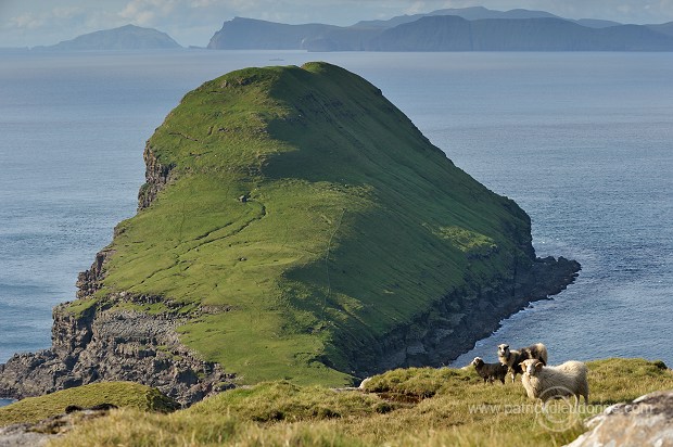 Trollhovdi, Sandoy, Faroe islands - Trollhovdi, iles Feroe - FER400