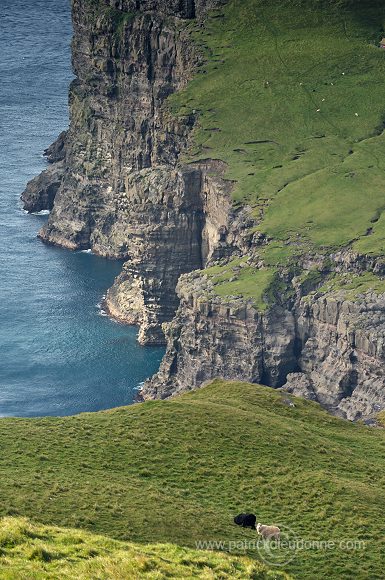 Trollhovdi, Sandoy, Faroe islands - Trollhovdi, iles Feroe - FER413