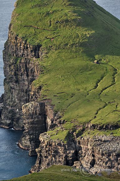 Trollhovdi, Sandoy, Faroe islands - Trollhovdi, iles Feroe - FER416