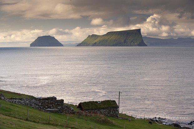Stora and Litla Dimun, Faroe islands - Stora Dimun, Iles Feroe - FER440