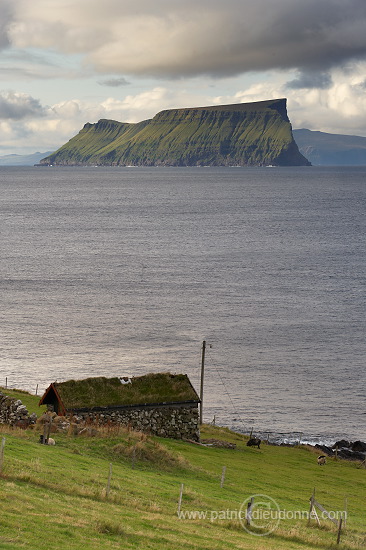 Stora Dimun, Faroe islands - Stora Dimun, Iles Feroe - FER444