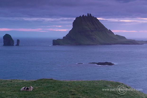 Tindholmur, Vagar, Faroe islands - Tindholmur, iles Feroe - FER639