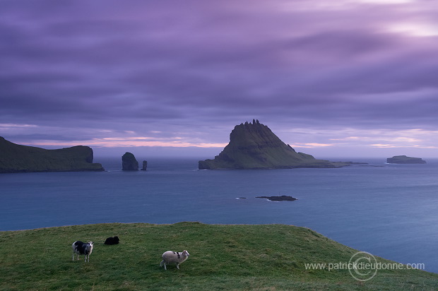 Tindholmur, Vagar, Faroe islands - Tindholmur, iles Feroe - FER640