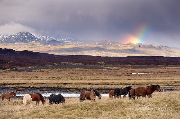 Iceland - Islande - ICE023