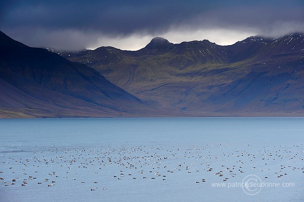 Iceland - Islande - ICE026