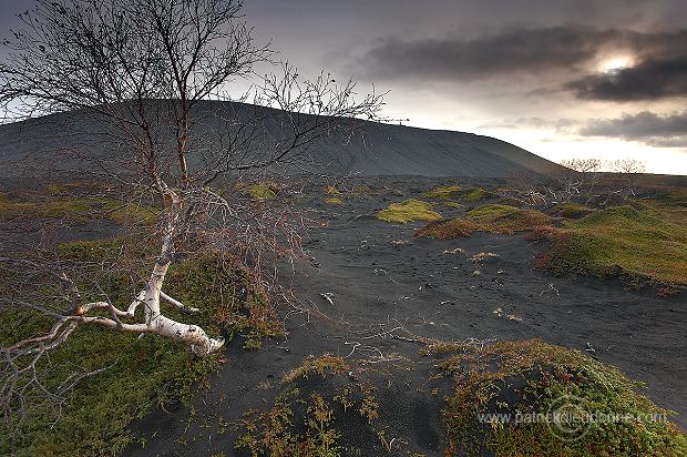 Iceland, lake Myvatn region - Islande, region du lac Myvatn - ICE030