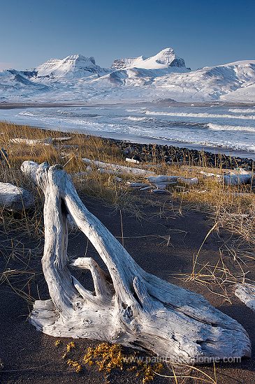 Iceland, East Fjords - Islande, fjords de l'Est - ICE037