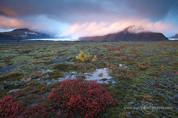 Iceland, Skaftafell NP - Islande, Skaftafell - ICE049