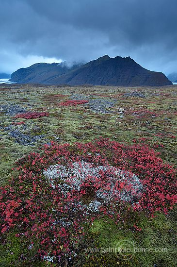 Iceland, Skaftafell NP - Islande, Skaftafell - ICE050