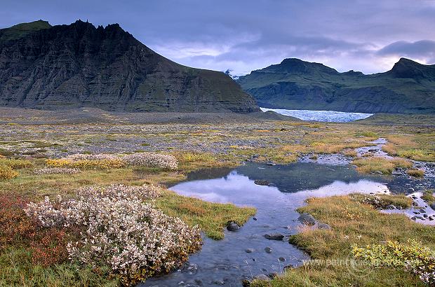 Iceland, Skaftafell NP - Islande, Skaftafell - ICE052