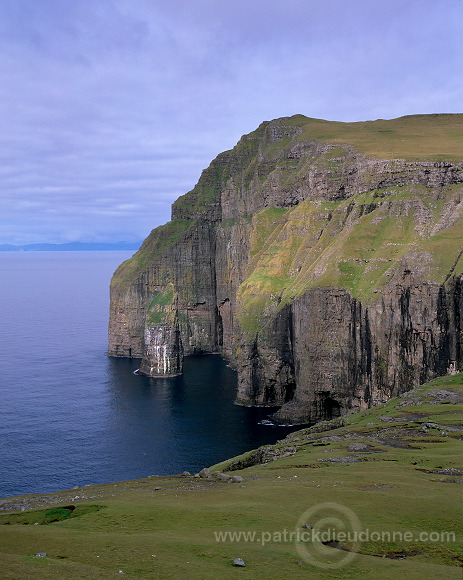 Hvalba, sea cliffs, Suduroy, Faroe islands - Hvalba, Suduroy, iles Feroe - FER033