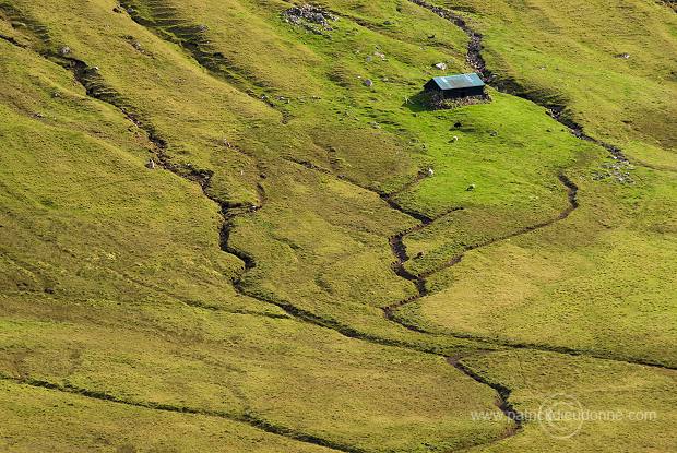 Sheep, Hvalba, Suduroy, Faroe islands - Moutons a Hvalba, Iles Feroe - FER423