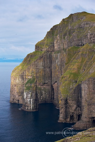 Sea cliffs, Hvalba, Suduroy, Faroe islands - Iles Feroe - FER489