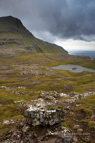 Suduroy west coast, Faroe islands - Suduroy, Iles Feroe - FER516