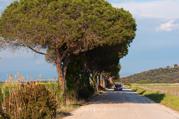 Parco della Maremma, Tuscany - Parc de Maremme, Toscane - it01089