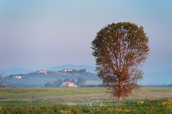 Maremma, Tuscany - Maremme, Toscane - it01104