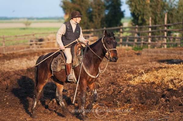 Buttero, Maremma, Tuscany - Buttero, Maremme, Toscane - it01123