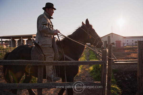 Buttero, Maremma, Tuscany - Buttero, Maremme, Toscane - it01132