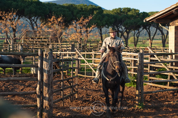 Buttero, Maremma, Tuscany - Buttero, Maremme, Toscane - it01136