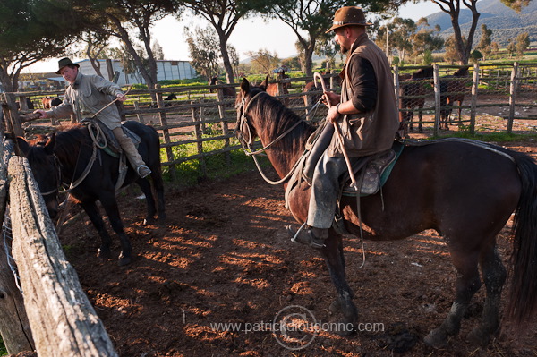 Butteri, Maremma, Tuscany - Butteri, Maremme, Toscane - it01143