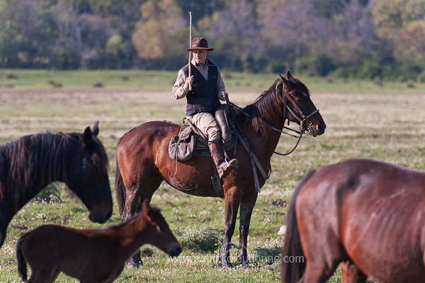 Buttero, Maremma, Tuscany - Buttero, Maremme, Toscane - it01180