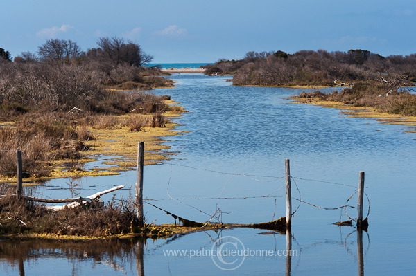 Maremma, Tuscany - Maremme, Toscane - it01220