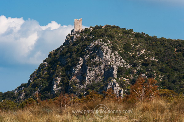 Maremma, Tuscany - Maremme, Toscane -  it01223