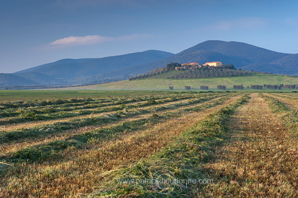 Maremma, Tuscany - Maremme, Toscane - it01269