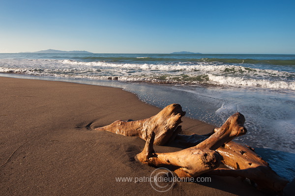 Maremma, Tuscany - Maremme, Toscane - it01469