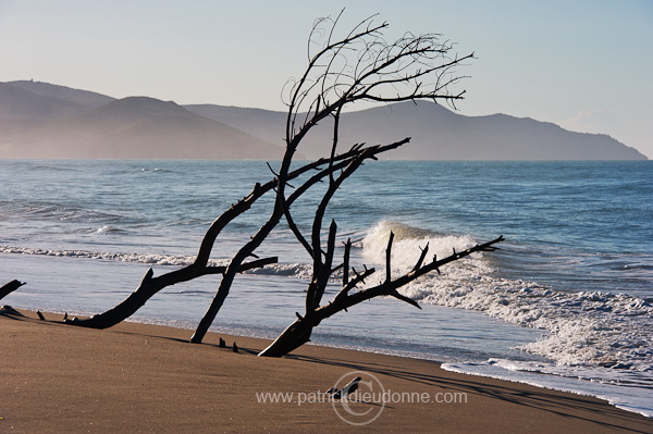 Maremma, Tuscany - Maremme, Toscane - it01474