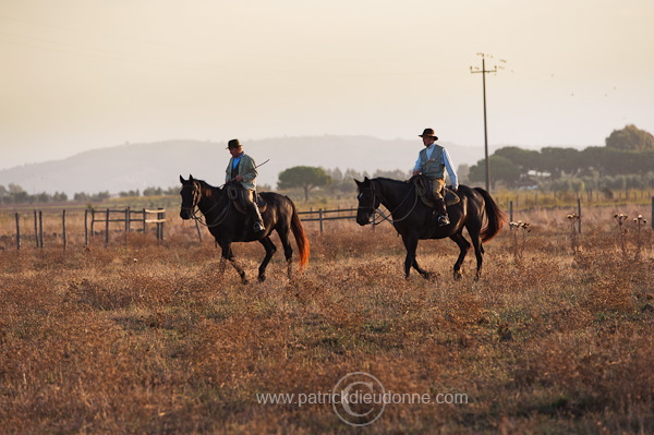 Butteri, Maremma, Tuscany - Butteri, Maremme, Toscane - it01520