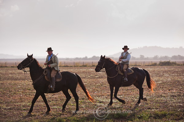 Butteri, Maremma, Tuscany - Butteri, Maremme, Toscane - it01549