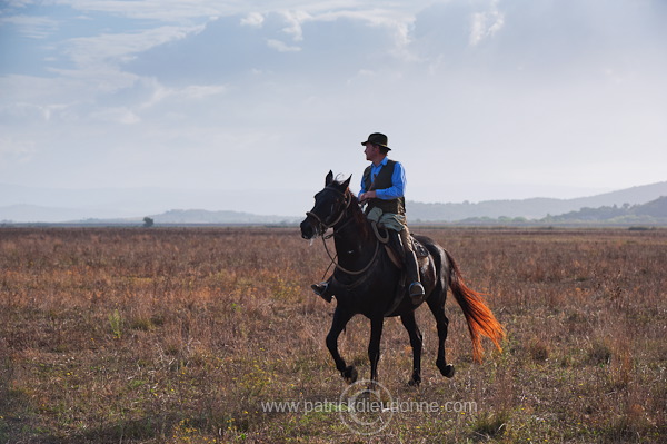 Buttero, Maremma, Tuscany - Buttero, Maremme, Toscane - it01576