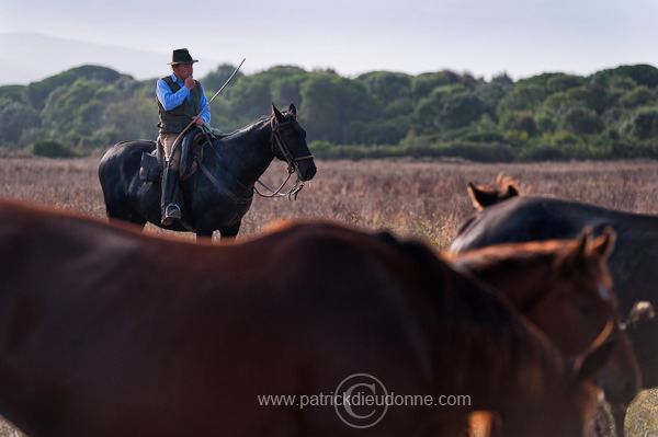 Buttero, Maremma, Tuscany - Buttero, Maremme, Toscane - it01582