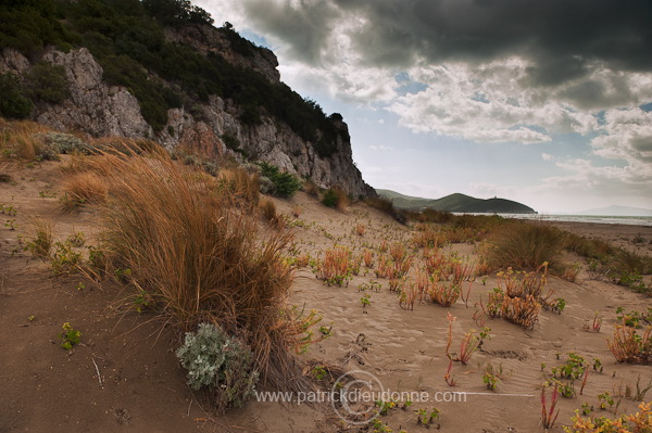 Maremma, Tuscany - Maremme, Toscane - it01606