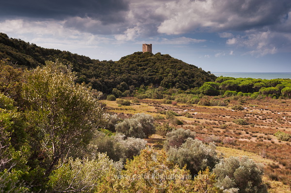 Maremma, Tuscany - Maremme, Toscane - it01611