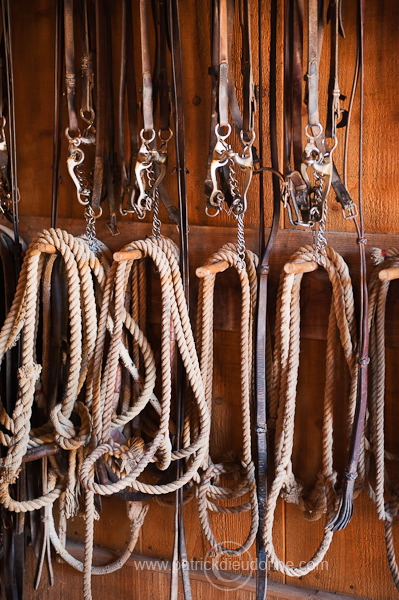 Tack room, Tuscany - Sellerie, Toscane - it01615