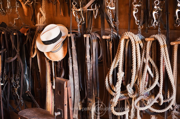 Tack room, Tuscany - Sellerie, Toscane - it01616