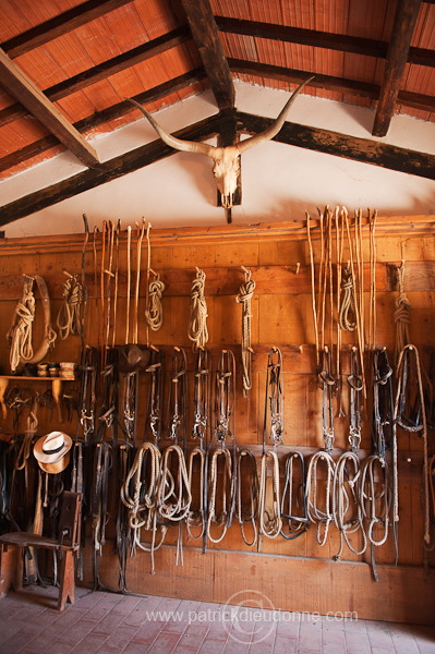 Tack room, Tuscany - Sellerie, Toscane - it01617