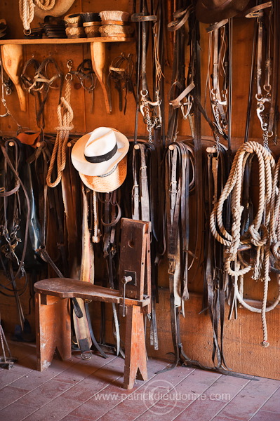 Tack room, Tuscany - Sellerie, Toscane - it01619