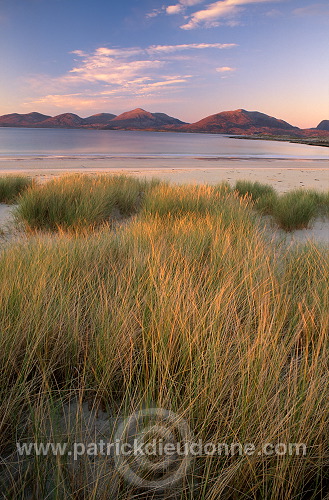 Marram grass, dunes, Harris, Scotland - Harris, Ecosse - 18589