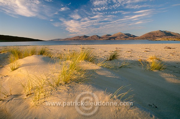 Marram grass, dunes, Harris, Scotland - Harris, Ecosse - 18590