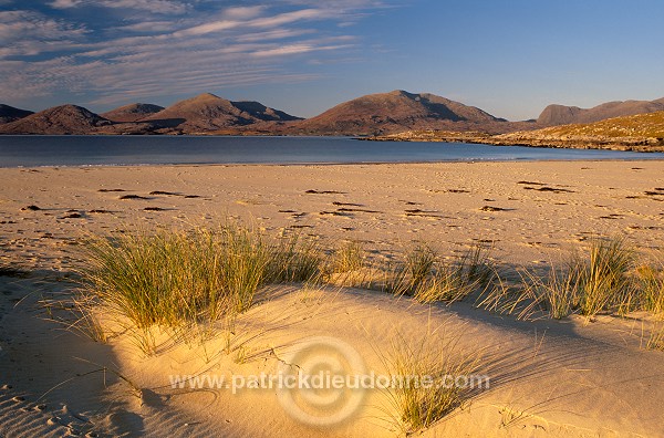 Marram grass, dunes, Harris, Scotland - Harris, Ecosse - 18592