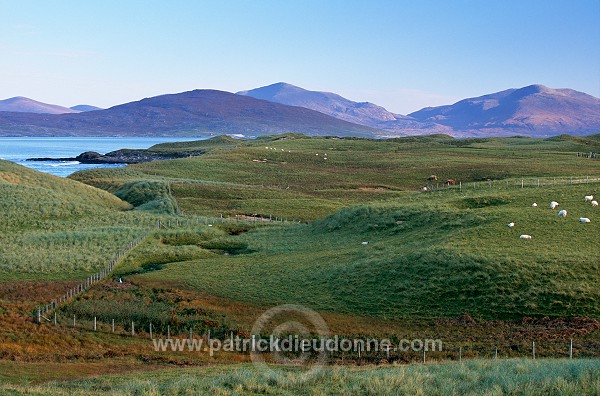 Dunes and machair, Harris, Scotland - Harris, Ecosse - 18599