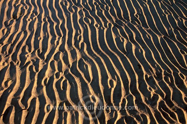 Patterns, sand, Harris, Scotland - Sable, Harris, Ecosse - 18610