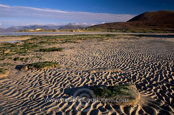 Seilebost Beach, Harris, Scotland - Harris, Ecosse - 18611