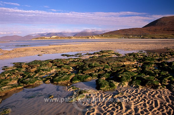 Seilebost Beach, Harris, Scotland - Harris, Ecosse - 18612